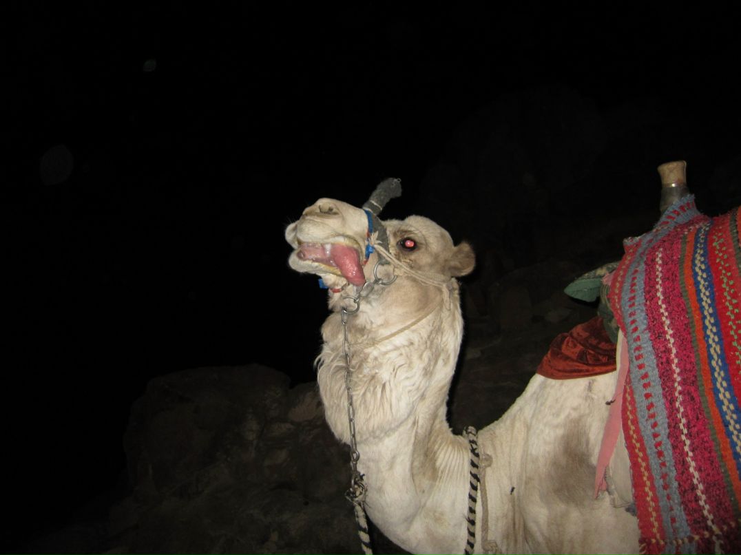 Дамир Фахрутдинов | Москва