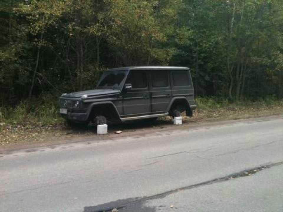 Максим Игоревич | 