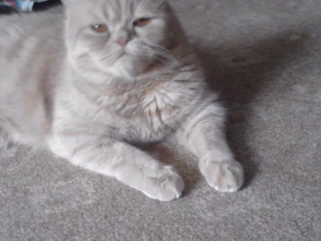 Софья Мишина | Рязань