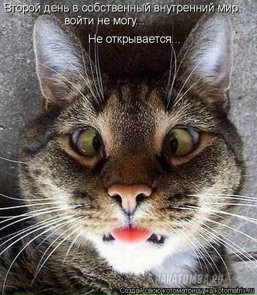 №97, Алёна Корельская, Архангельск №97, Алёна Корельская, Архангельск