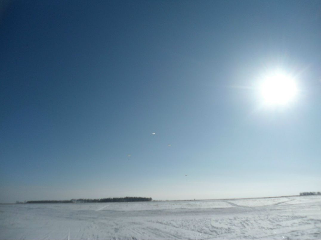 Аликсэй Шко | Курган