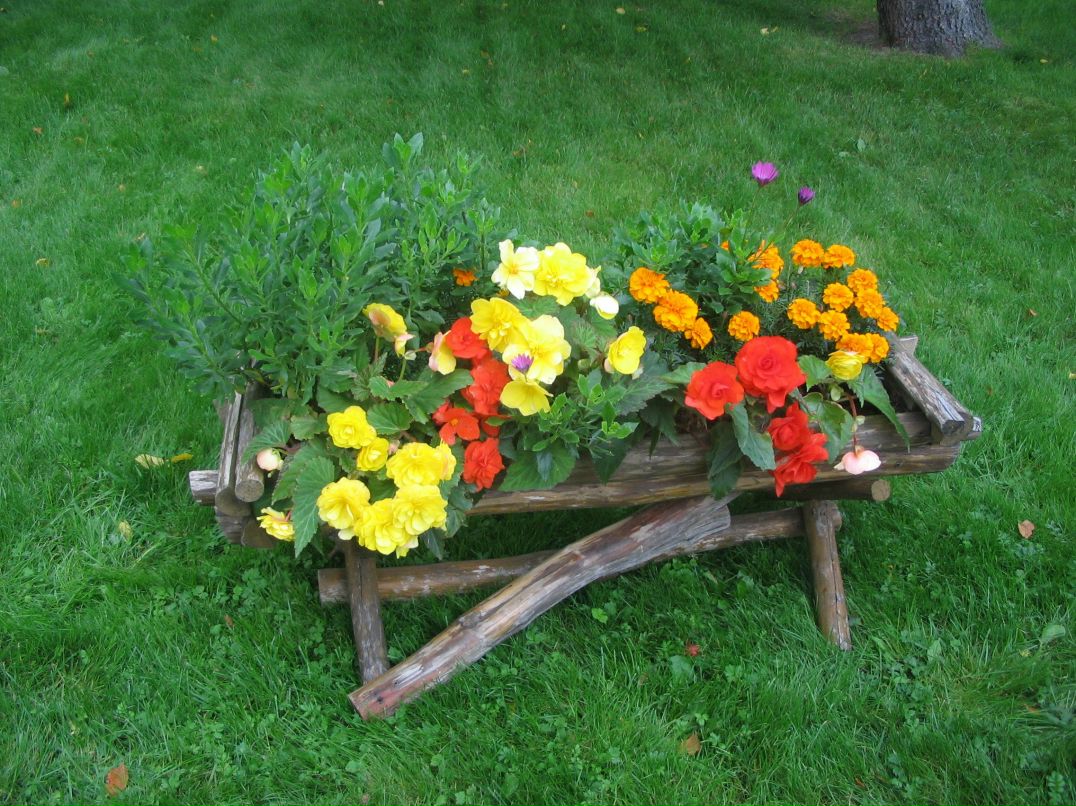 Вера Варзунова | Череповец