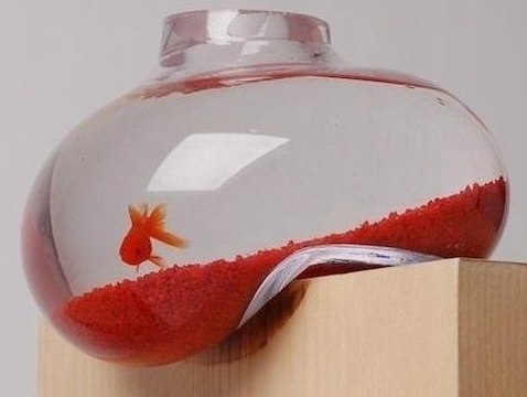 Ольга Карпусь | Санкт-Петербург