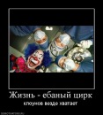 №15 Виталий Горбачёв