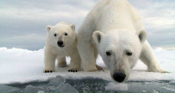 №38, Карина Можаева, 27 лет, Севастополь №38, Карина Можаева, 27 лет, Севастополь