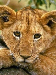 №12, Катя Руденко №12, Катя Руденко