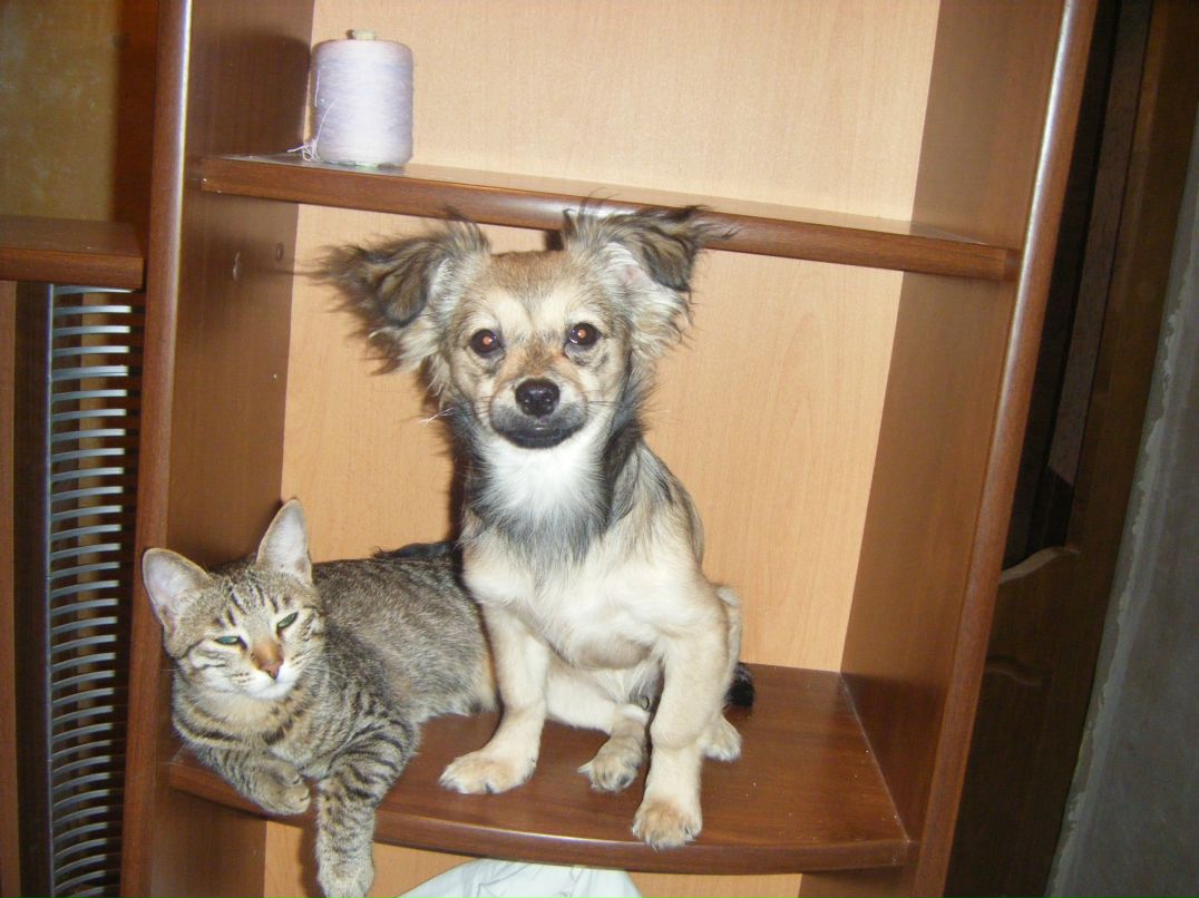 Леонид Гаврилов | Стерлитамак