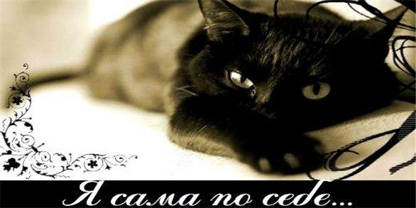 Марина Кэт-Кузнецова ღPuSHistiC♥ℒℴνe♥Romanticღ | Ярославль