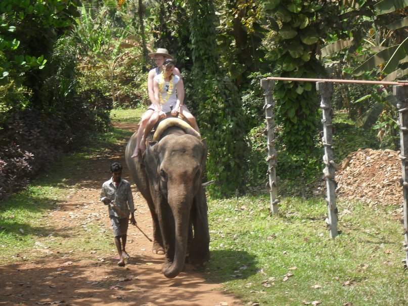 Алла Корнева | Нижний Новгород