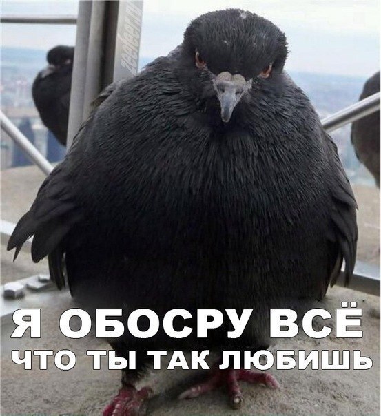 Николай Шмульге Shmulge | Москва