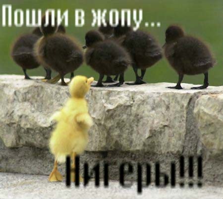 №33, Руслан Мыкитась, 35 лет, Киев №33, Руслан Мыкитась, 35 лет, Киев