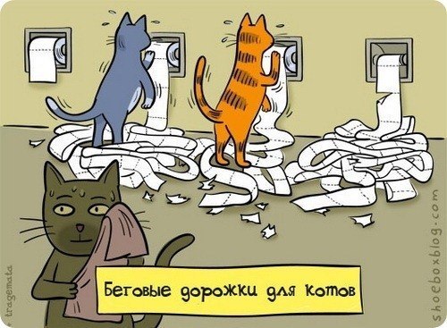№27, Сергей Колодезный, Новороссийск №27, Сергей Колодезный, Новороссийск