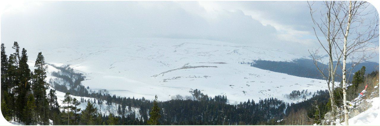 Виктор Жарких | Ростов-на-Дону