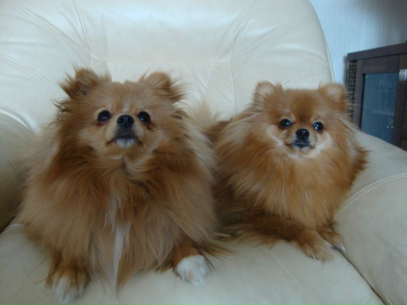 Елена Калинина | Москва