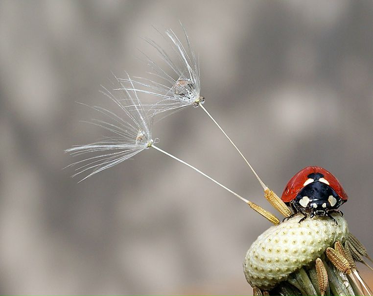 №75, Михаил Шепель, 32 года, Москва №75, Михаил Шепель, 32 года, Москва