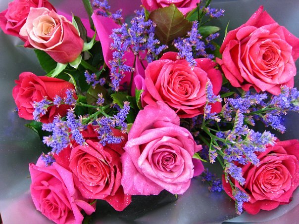 №104, Полина Дыга, Сочи №104, Полина Дыга, Сочи