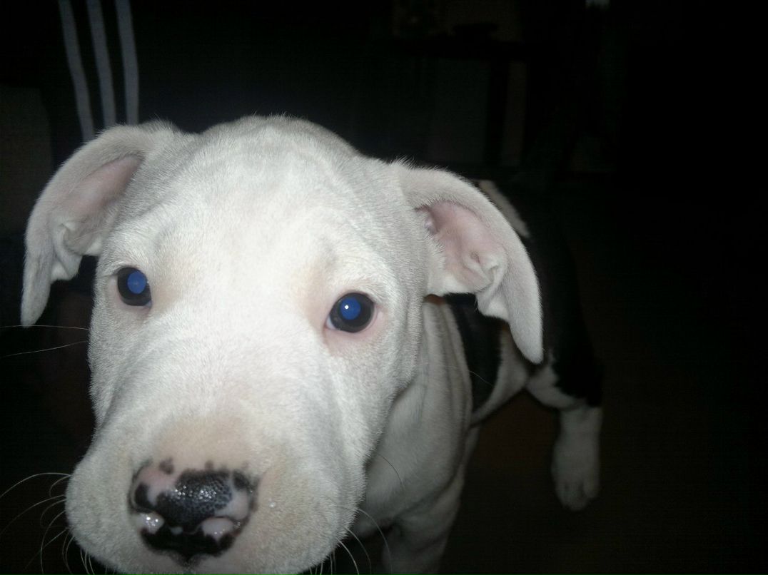 Наталья Терентьева | Санкт-Петербург