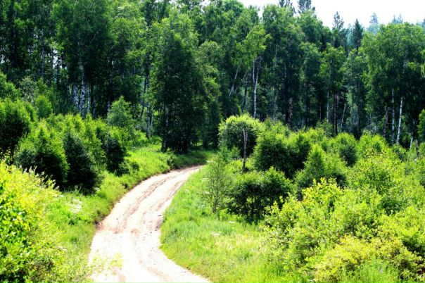 №40, Bilguun Erdenebat, Ulaanbaatar №40, Bilguun Erdenebat, Ulaanbaatar