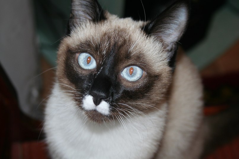 Марат Уразманов | Уфа