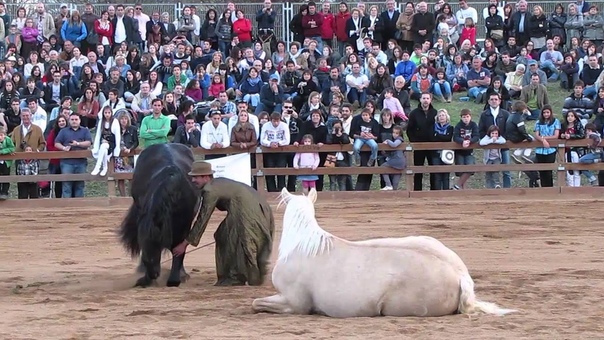 Natura Abstracta Fira del Mercat del Ram de