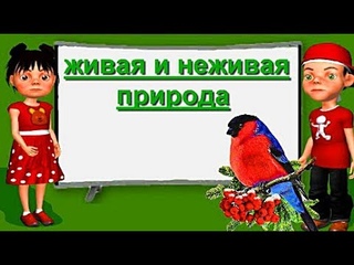 Живая и неживая природа Инфоурок