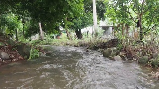 Endless streams - an hour+ of a looping, beautiful and relaxing stream in Panama’s countryside