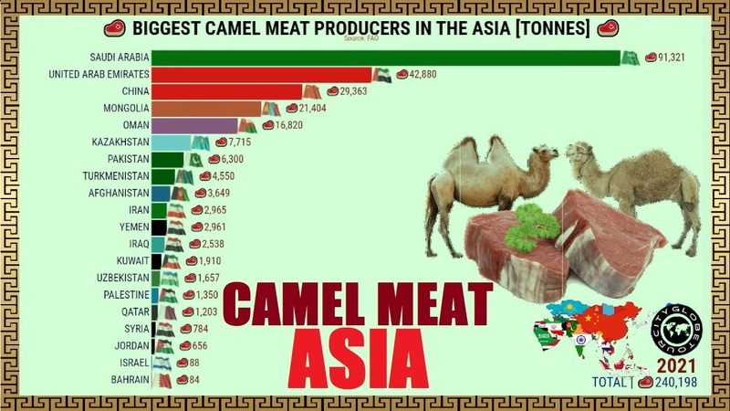The Largest Camel Meat Producers in the