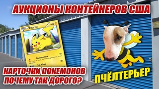 Нашли карточки POKEMON. $ 15000 за коробку??? Буся-Пчелка или ПчелТерьер атакует!!!
