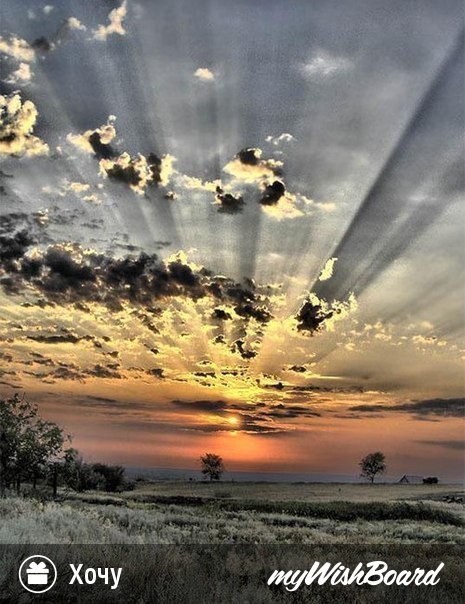 Ирина Иващенко | Ужгород