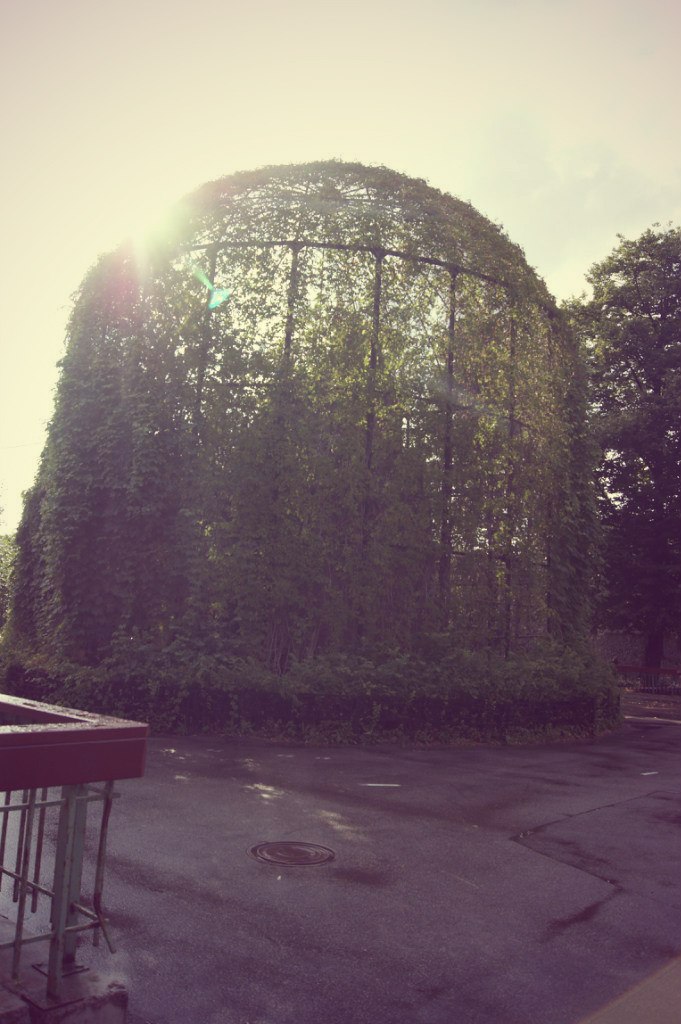 Настена Канай | Санкт-Петербург