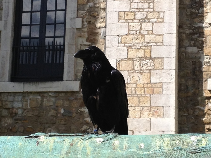 Катюша Китаева | Москва