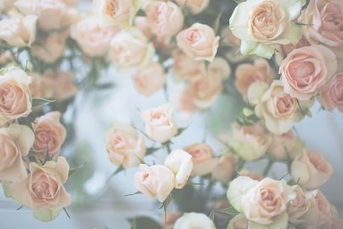 Анастасия Грачева | Междуреченск