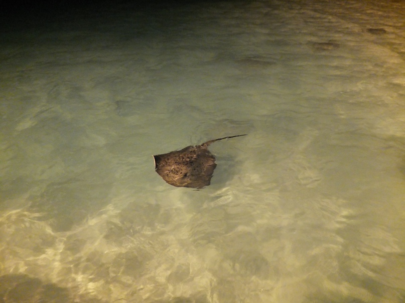 Вова Панов | Москва