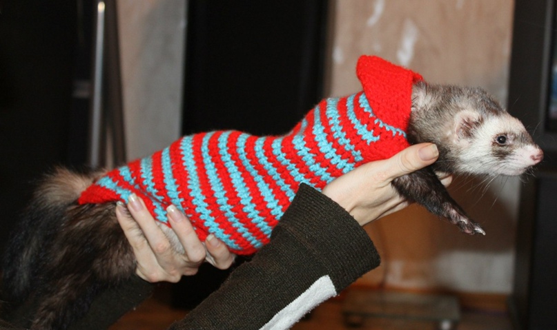 Алёна Герасимова | Волжский