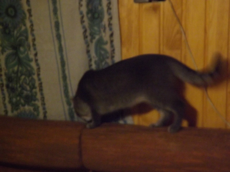 Сергей Тележников | Нижний Тагил