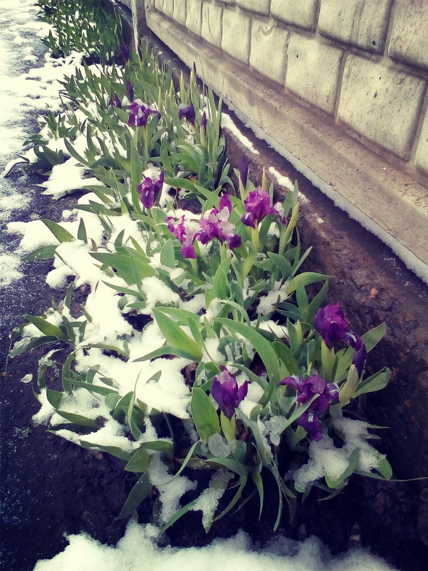 Юлия Боброва | Кривой Рог