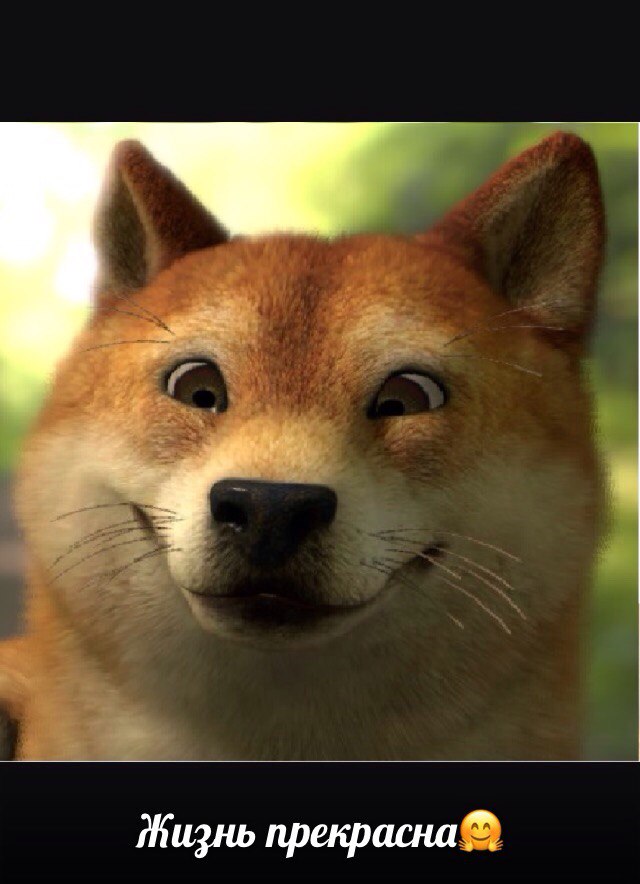 Юлия Широбокова | Красноярск