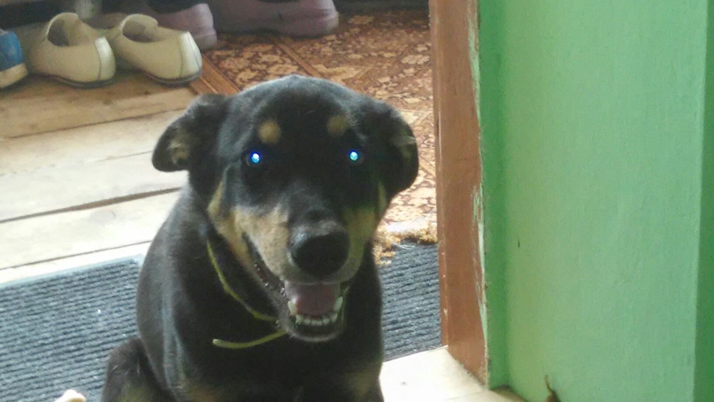 Дмитрий Степнов | Подольск