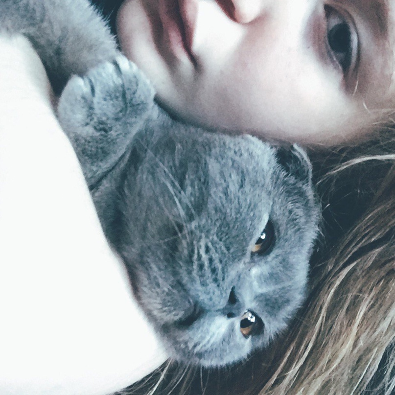 Екатерина Никитина | Ярославль