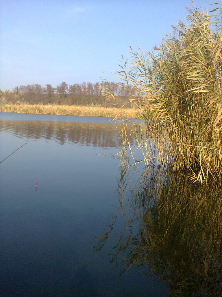 Андрей Филимонов | Тирасполь