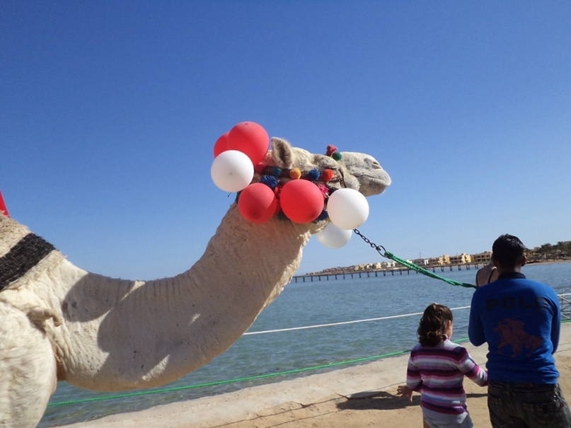 Ирина Ивановская | Гремячинск