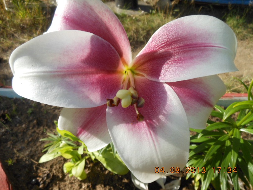 Валера Васильев | Санкт-Петербург