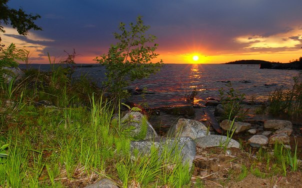 Дмитрий Леушин | Балаково