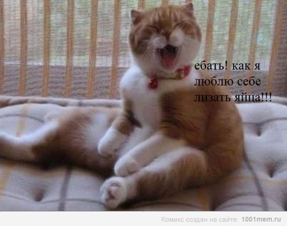 Николай Филиппов | Димитровград