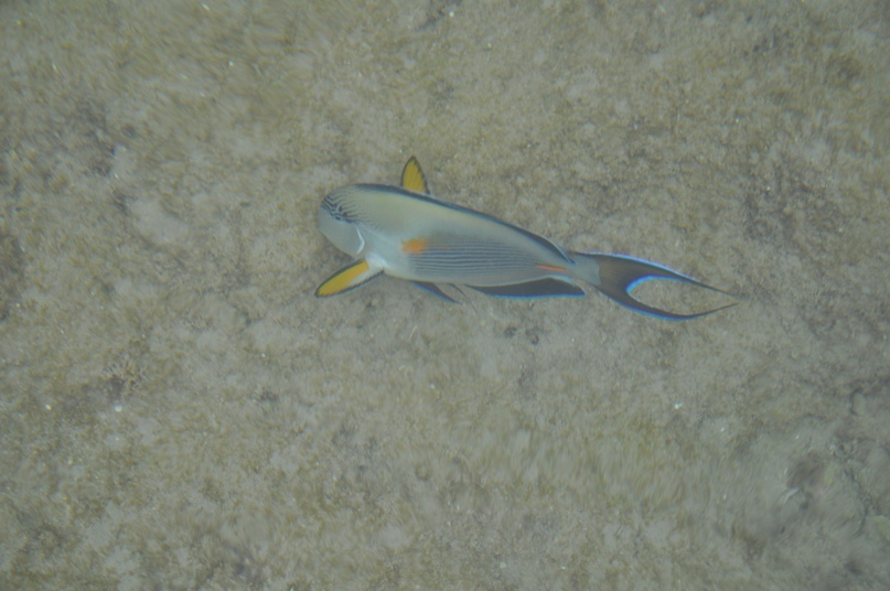 Наталья Серохвостова | Москва