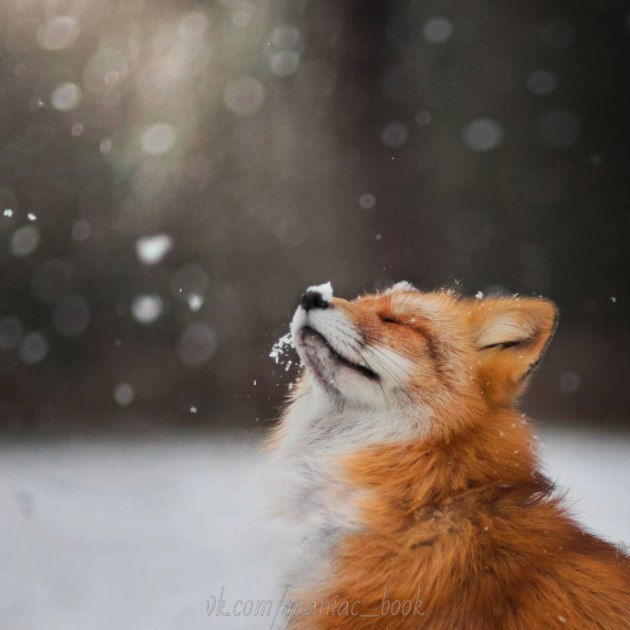 Татьяна Рыбина $*RaN*$ | Липецк