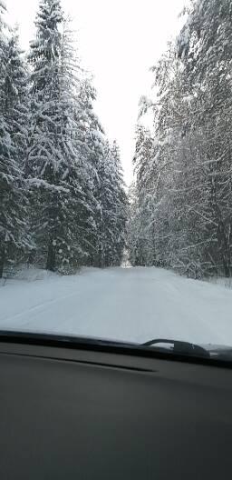 Елена Одинцова | Киров