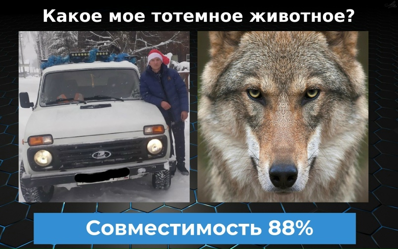 Антон Маркин