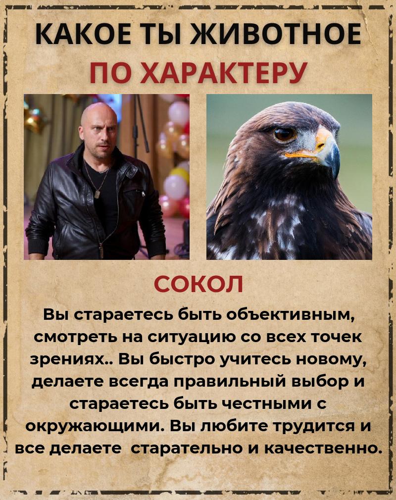 Александр Шишкин | Вязники