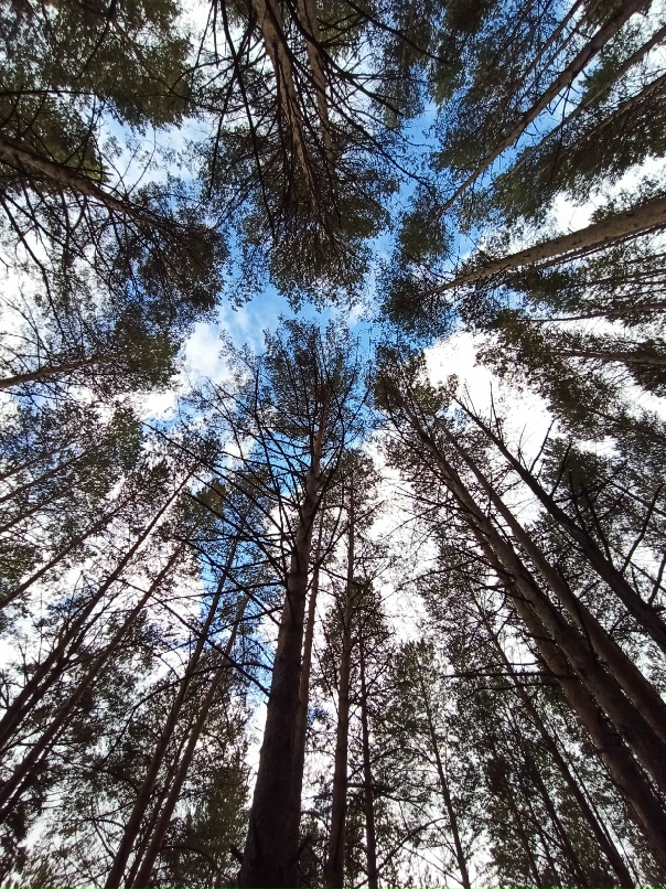 Татьяна Красильникова | Ижевск